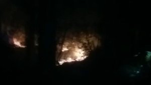 Belgrad Ormanı’nda korkutan yangın!