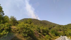 Samsun’da korkutan orman yangını!