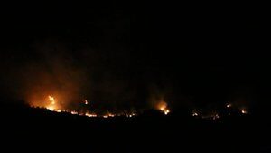Adana’da orman yangını!