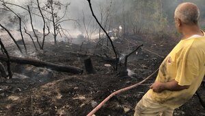 Adana’daki orman yangınında korkunç tablo!