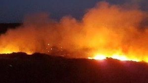 Bozcaada’da orman yangını