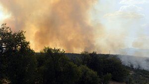 Elazığ’da korkutan orman yangını!