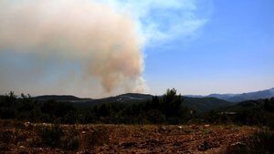 Hatay-Suriye sınırında orman yangını