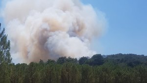 İzmir ve Bursa’da korkutan orman yangınları!