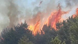 Kastamonu’da 200 hektarlık ormanlık alanda yangın!