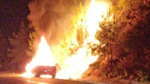 Otomobilde çıkan yangın ormana sıçradı!