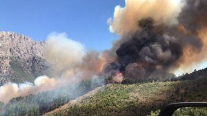 Adana’daki orman yangını devam ediyor