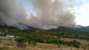 Ankara’da bir orman yangını daha!