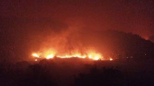 Hatay’daki orman yangınına ‘karşı ateş’ müdahalesi