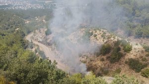 Hatay’daki orman yangınlarında sabotaj şüphesi