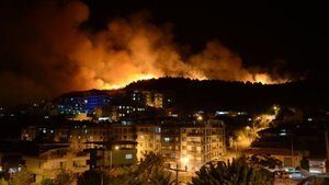 İzmir’de otluk alanda yangın: 1 gözaltı
