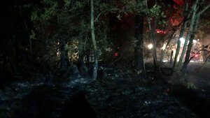 Kastamonu’da orman yangını kontrol altına alındı