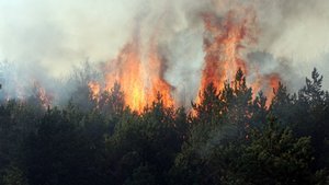 Tokat ve Manisa’daki yangınlar kontrol altında