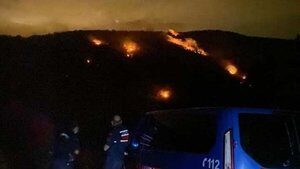 Ankara’da ormanlık alan yangını
