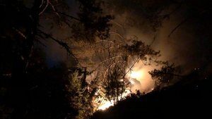 Kastamonu’da korkutan orman yangını