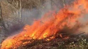 Ormanlık alanda korkutan yangın!