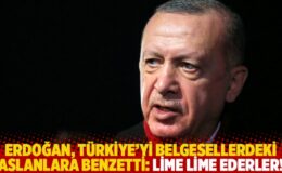 Erdoğan, Türkiye’yi belgesellerdeki aslanlara benzetti: Lime lime ederler!