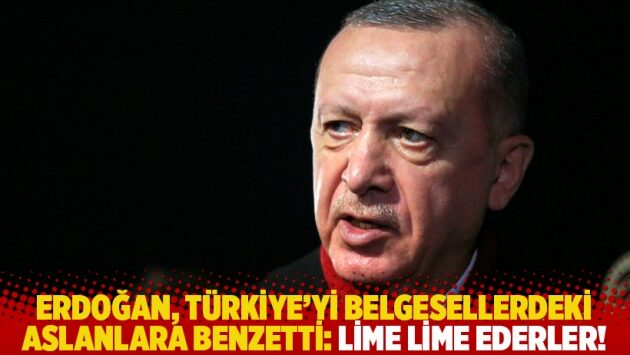 Erdoğan, Türkiye’yi belgesellerdeki aslanlara benzetti: Lime lime ederler!