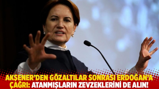 Akşener’den gözaltılar sonrası Erdoğan’a çağrı: Atanmışların zevzeklerini de alın!