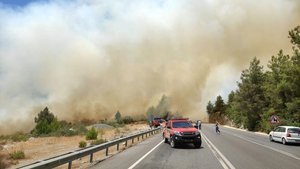 Antalya’da orman yangını! Karayolu kapandı!