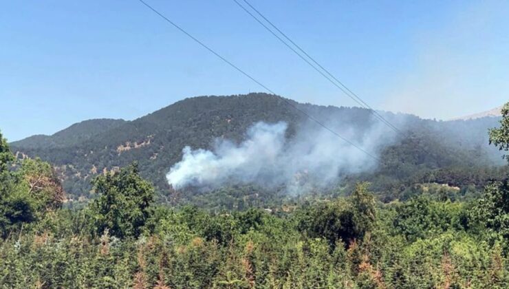 İzmir Ödemiş’te orman yangını