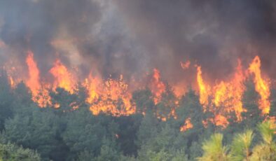 Çanakkale’de orman yangını çıktı!
