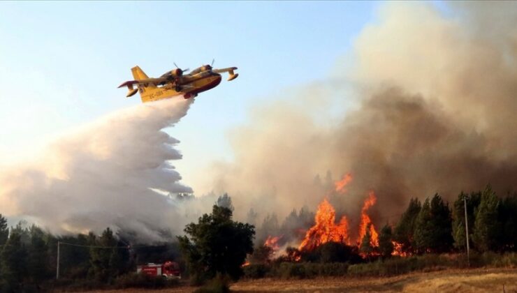 İspanya’nın güney bölgesindeki yangınlar devam ediyor