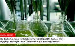 Kilis Zeytin Araştırma ve Geliştirme Derneği (KİZADER) Başkanı İklim Değişikliği Nedeniyle Zeytin Üretiminde Düşüş Yaşandığını Belirtti
