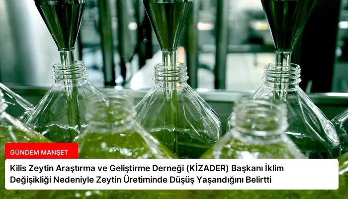 Kilis Zeytin Araştırma ve Geliştirme Derneği (KİZADER) Başkanı İklim Değişikliği Nedeniyle Zeytin Üretiminde Düşüş Yaşandığını Belirtti