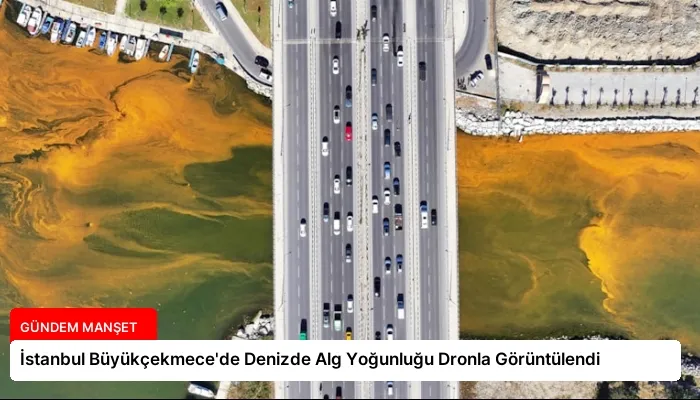İstanbul Büyükçekmece’de Denizde Alg Yoğunluğu Dronla Görüntülendi