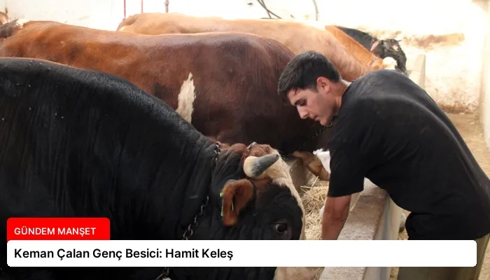Keman Çalan Genç Besici: Hamit Keleş