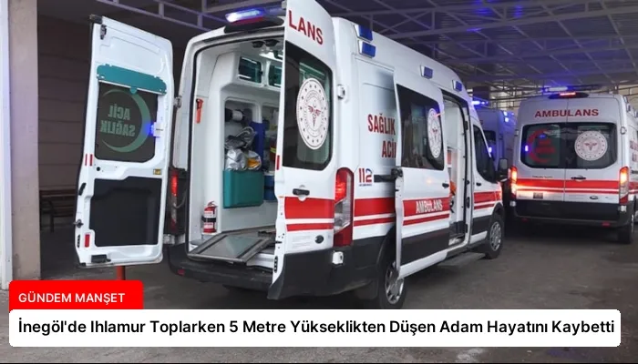 İnegöl’de Ihlamur Toplarken 5 Metre Yükseklikten Düşen Adam Hayatını Kaybetti