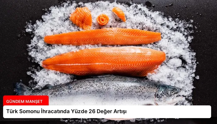 Türk Somonu İhracatında Yüzde 26 Değer Artışı