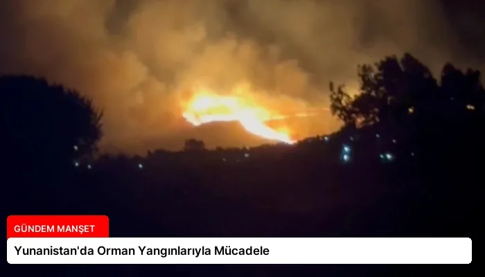 Yunanistan’da Orman Yangınlarıyla Mücadele