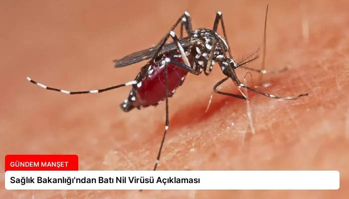 Sağlık Bakanlığı’ndan Batı Nil Virüsü Açıklaması