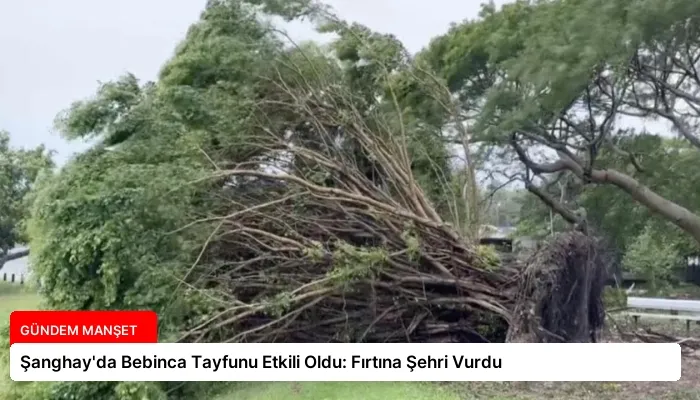 Şanghay’da Bebinca Tayfunu Etkili Oldu: Fırtına Şehri Vurdu