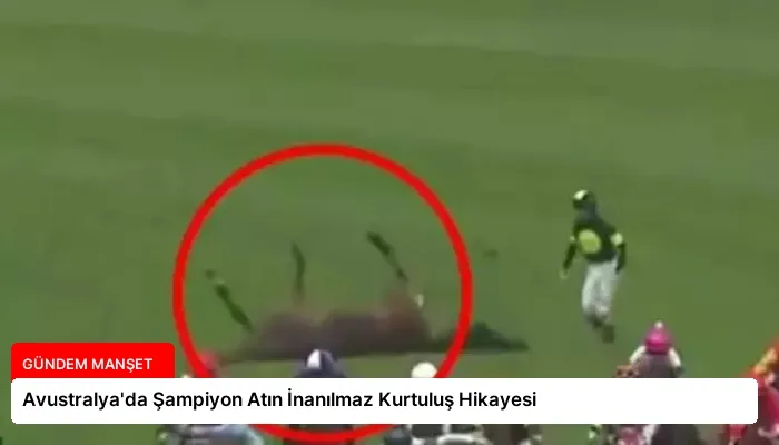 Avustralya’da Şampiyon Atın İnanılmaz Kurtuluş Hikayesi