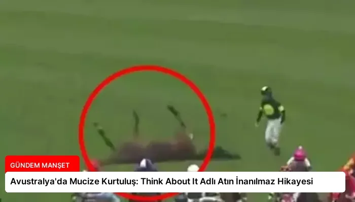 Avustralya’da Mucize Kurtuluş: Think About It Adlı Atın İnanılmaz Hikayesi