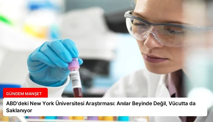 ABD’deki New York Üniversitesi Araştırması: Anılar Beyinde Değil, Vücutta da Saklanıyor