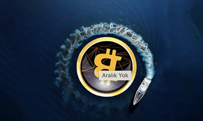 Bitcoin’de Volatilite Sinyalleri ve 2025 Beklentileri