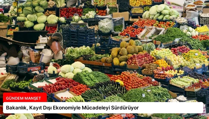 Bakanlık, Kayıt Dışı Ekonomiyle Mücadeleyi Sürdürüyor