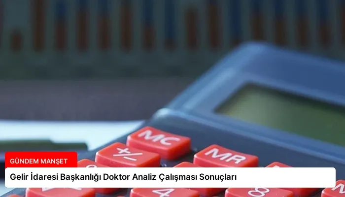 Gelir İdaresi Başkanlığı Doktor Analiz Çalışması Sonuçları