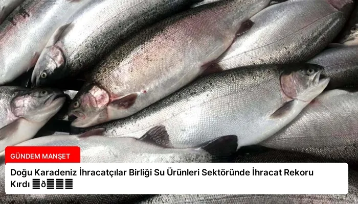 Doğu Karadeniz İhracatçılar Birliği Su Ürünleri Sektöründe İhracat Rekoru Kırdı ⏬👇