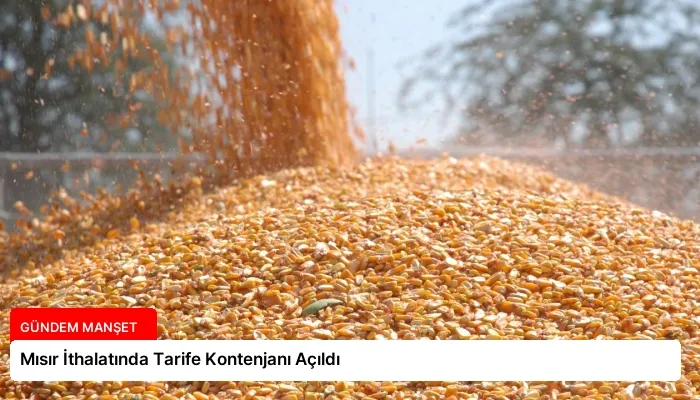 Mısır İthalatında Tarife Kontenjanı Açıldı