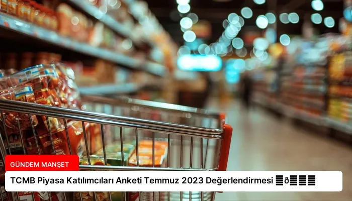 TCMB Piyasa Katılımcıları Anketi Temmuz 2023 Değerlendirmesi ⏬👇
