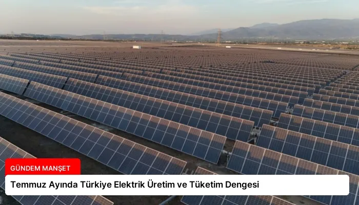 Temmuz Ayında Türkiye Elektrik Üretim ve Tüketim Dengesi