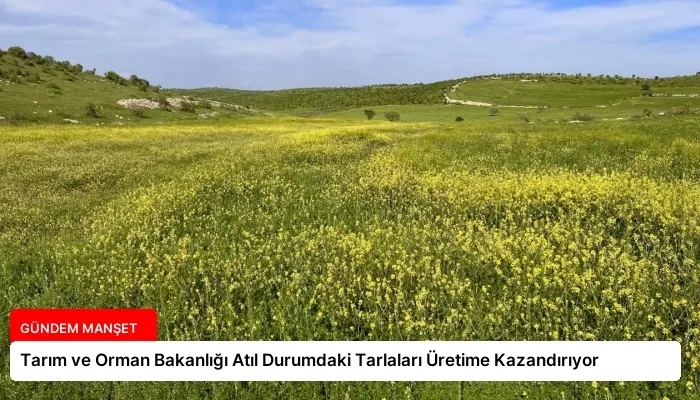 Tarım ve Orman Bakanlığı Atıl Durumdaki Tarlaları Üretime Kazandırıyor