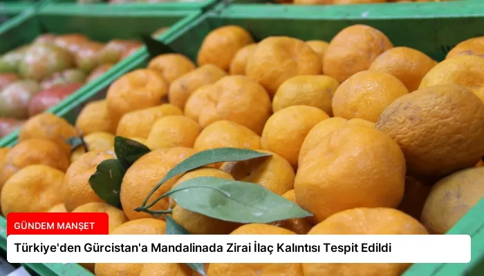 Türkiye’den Gürcistan’a Mandalinada Zirai İlaç Kalıntısı Tespit Edildi