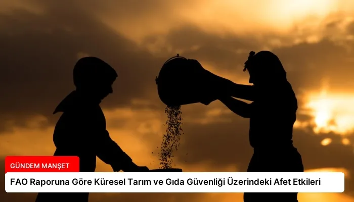 FAO Raporuna Göre Küresel Tarım ve Gıda Güvenliği Üzerindeki Afet Etkileri