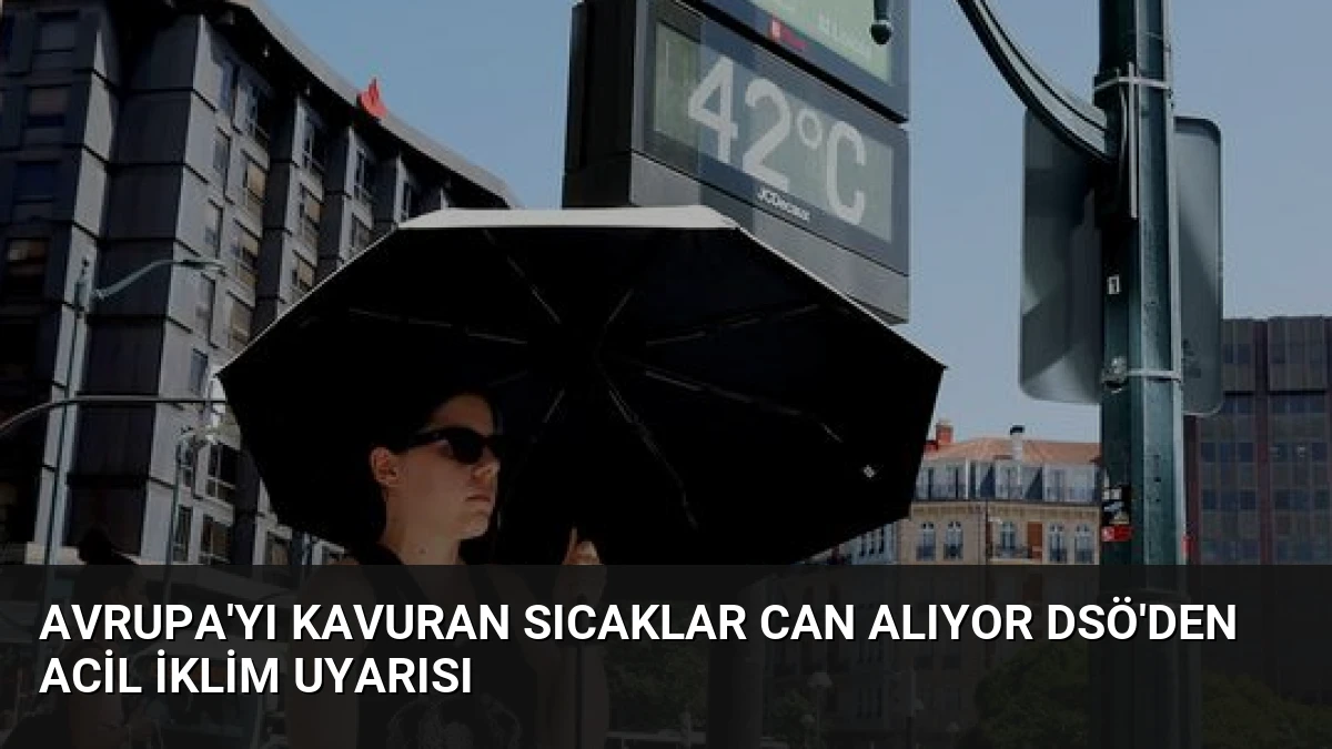 Avrupa’yı Kavuran Sıcaklar Can Alıyor DSÖ’den Acil İklim Uyarısı